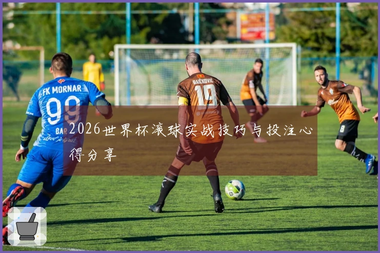 2026世界杯滚球实战技巧与投注心得分享
