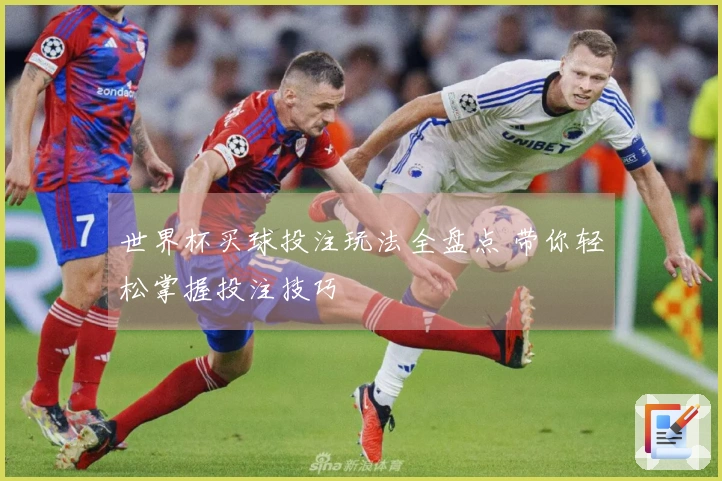 世界杯买球投注玩法全盘点 带你轻松掌握投注技巧