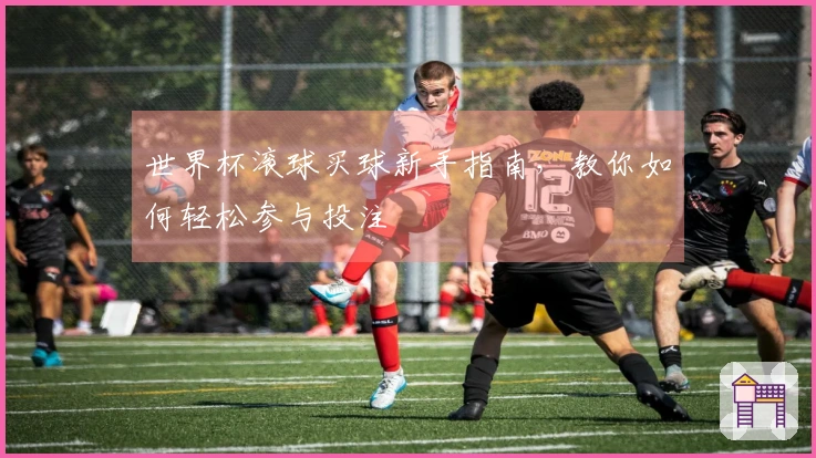 世界杯滚球买球新手指南,教你如何轻松参与投注