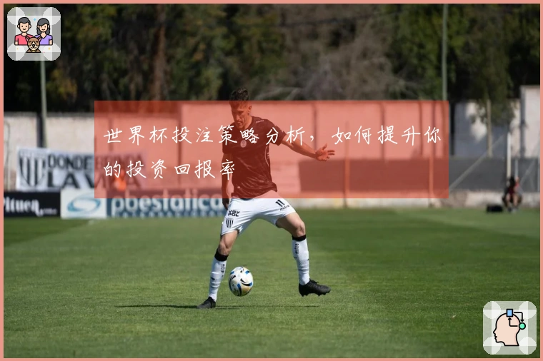 世界杯投注策略分析,如何提升你的投资回报率