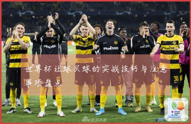 世界杯让球买球的实战技巧与注意事项盘点