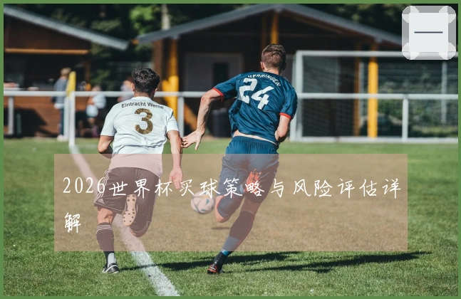 2026世界杯买球策略与风险评估详解
