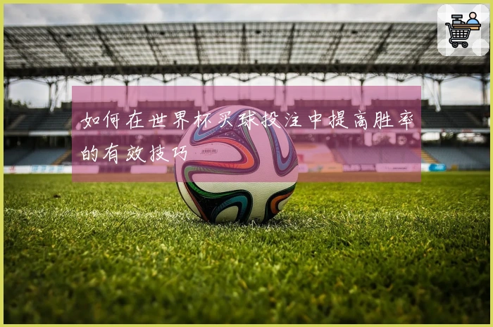 如何在世界杯买球投注中提高胜率的有效技巧
