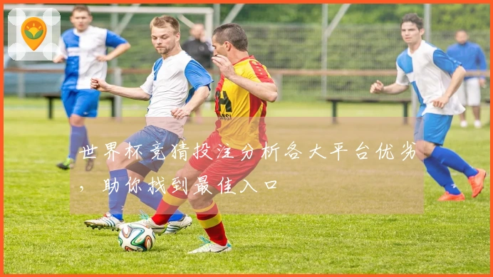 世界杯竞猜投注分析各大平台优劣，助你找到最佳入口