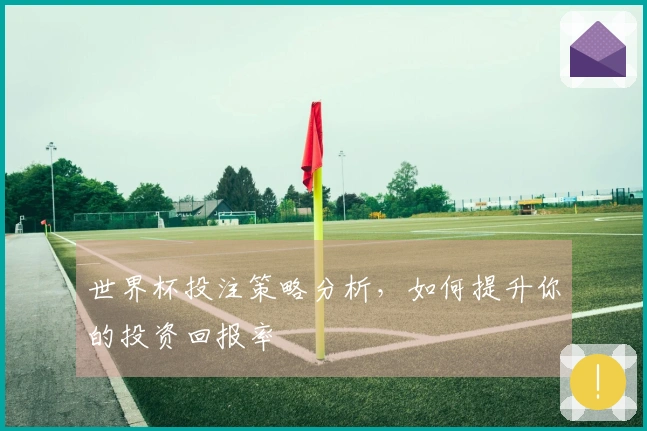 世界杯投注策略分析，如何提升你的投资回报率
