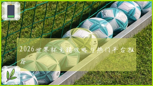 2026世界杯竞猜攻略与热门平台推荐