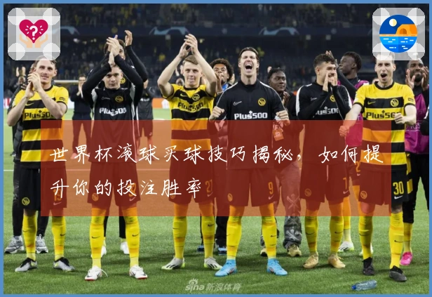 世界杯滚球买球技巧揭秘，如何提升你的投注胜率