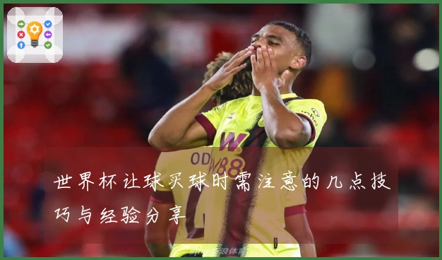 世界杯让球买球时需注意的几点技巧与经验分享