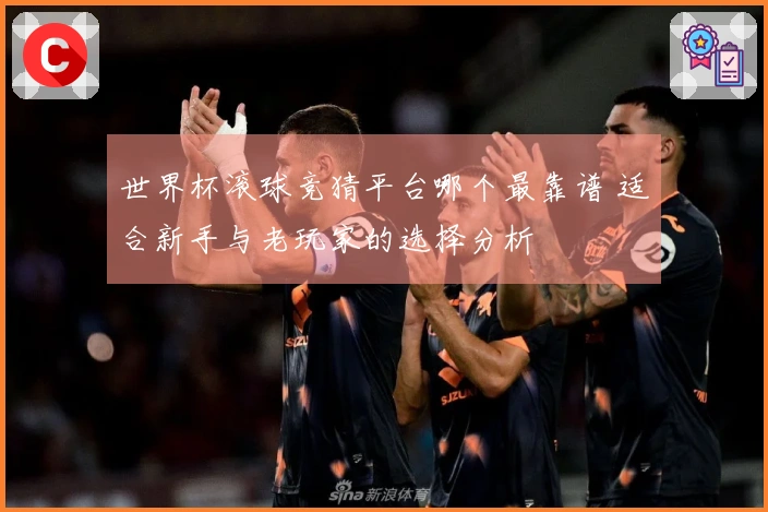 世界杯滚球竞猜平台哪个最靠谱 适合新手与老玩家的选择分析