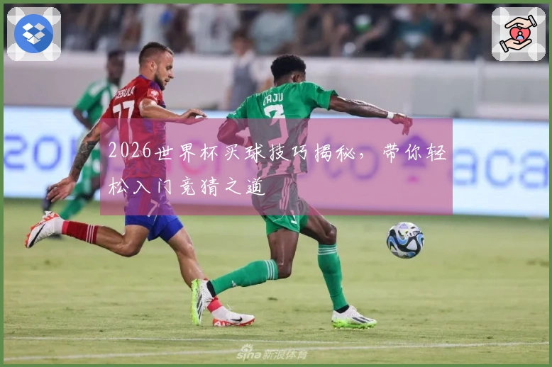 2026世界杯买球技巧揭秘，带你轻松入门竞猜之道