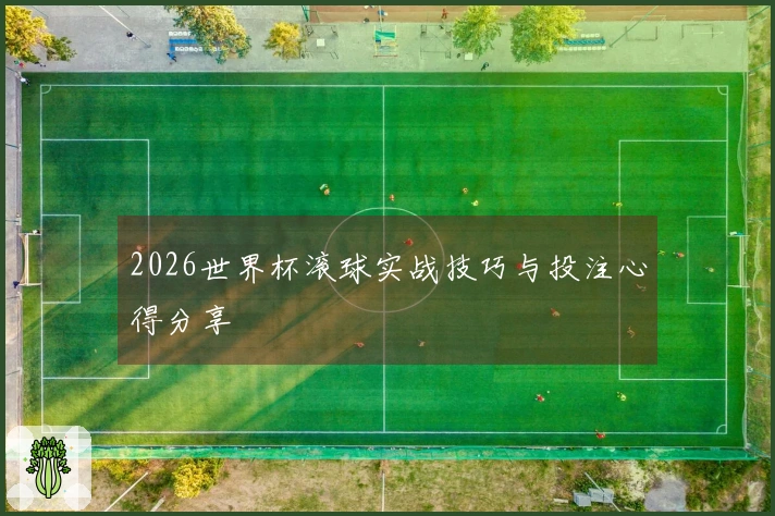 2026世界杯滚球实战技巧与投注心得分享