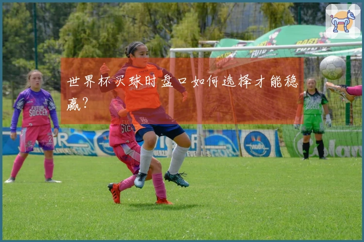 世界杯买球时盘口如何选择才能稳赢？