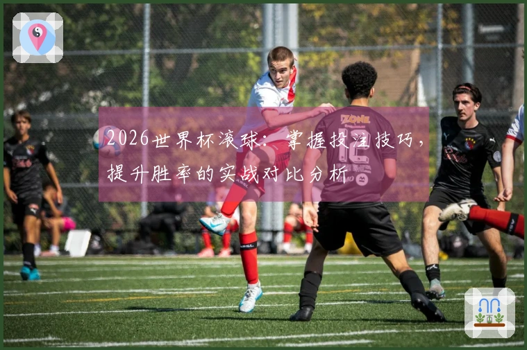 2026世界杯滚球：掌握投注技巧，提升胜率的实战对比分析