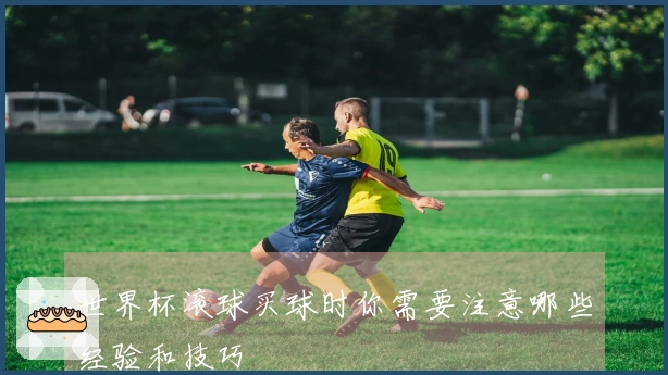 世界杯滚球买球时你需要注意哪些经验和技巧
