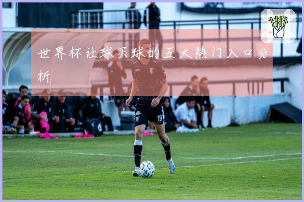 世界杯让球买球的五大热门入口分析