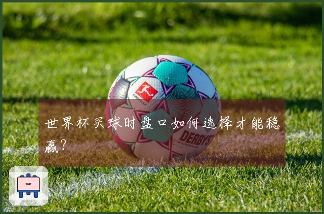 世界杯买球时盘口如何选择才能稳赢？