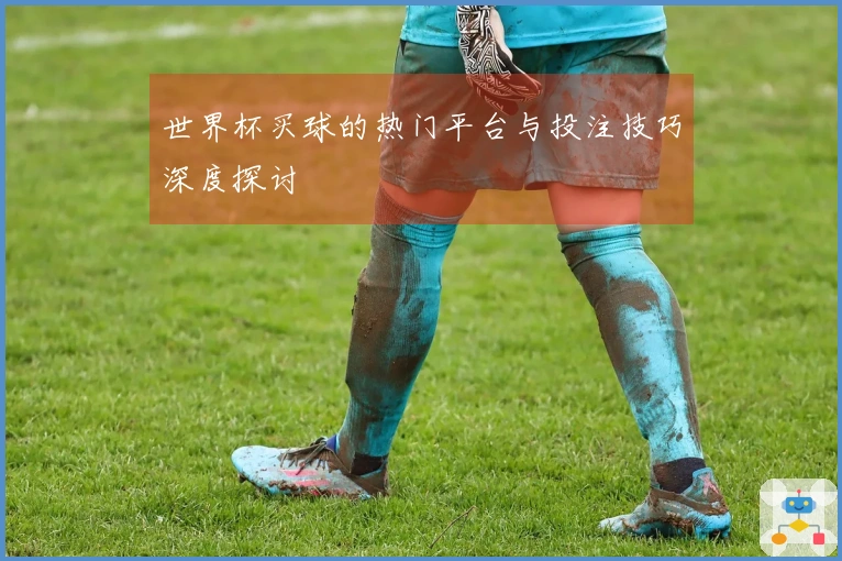世界杯买球的热门平台与投注技巧深度探讨
