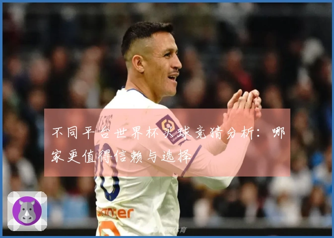 不同平台世界杯买球竞猜分析：哪家更值得信赖与选择