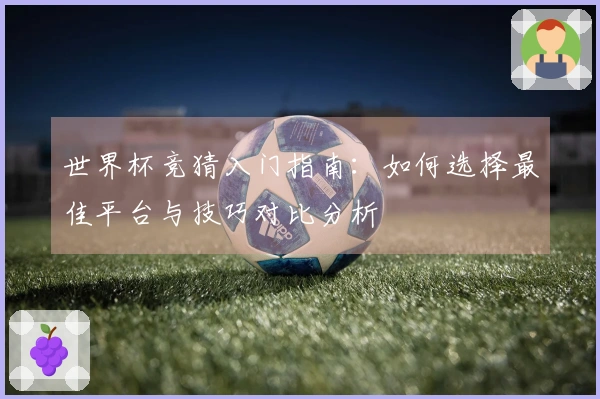 世界杯竞猜入门指南：如何选择最佳平台与技巧对比分析