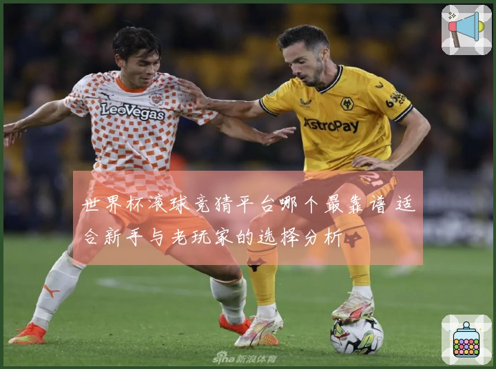 世界杯滚球竞猜平台哪个最靠谱 适合新手与老玩家的选择分析