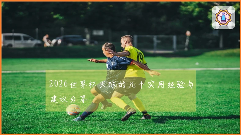 2026世界杯买球的几个实用经验与建议分享