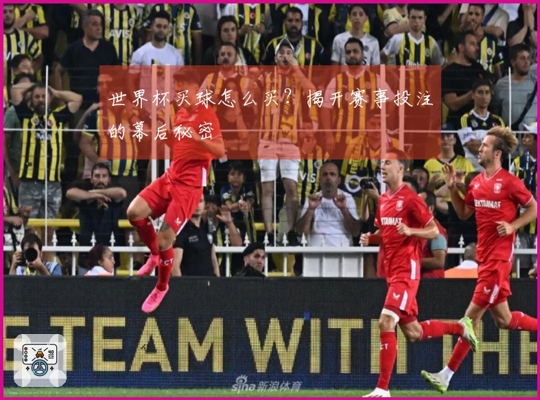 世界杯买球怎么买？揭开赛事投注的幕后秘密