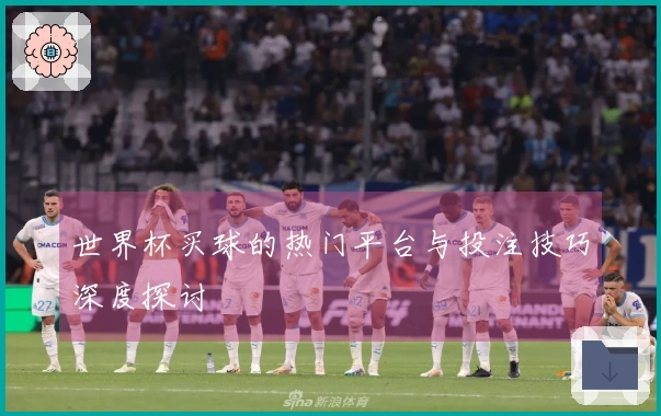 世界杯买球的热门平台与投注技巧深度探讨