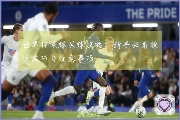世界杯滚球买球攻略：新手必看投注技巧与注意事项